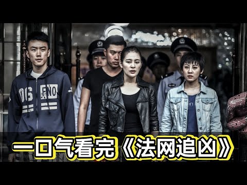 警察局长被刺杀，黑白双卧底相互试探丨一口气看完卧底缉毒《法网追凶》 视频封面