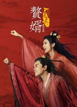 赘婿之吉兴高照