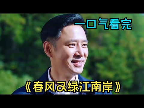 底层官员为了掩盖，竟然用石头堵住上级考察组的路丨一口气看完扫黑《春风又绿江南岸》 视频封面