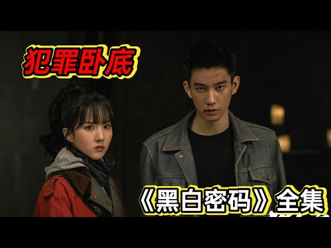 最新警匪大剧，卧底缉毒拳拳到肉丨一口气看完王子奇吴晓彤《黑白密码》 视频封面