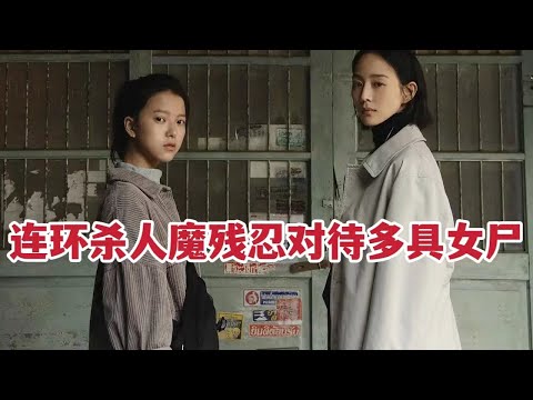 连环杀人魔残忍对待多名女尸，飒爽美女律师以身涉险调查案件《追缉》 视频封面