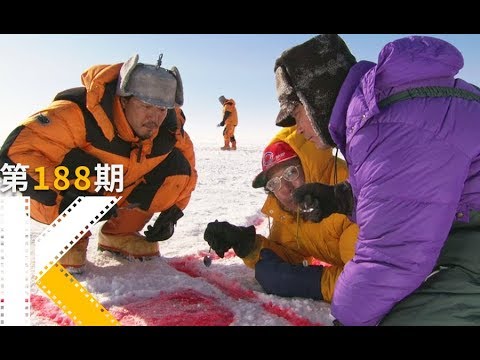 在南极，最重要的事就是吃！吃！吃！《南极料理人》 视频封面