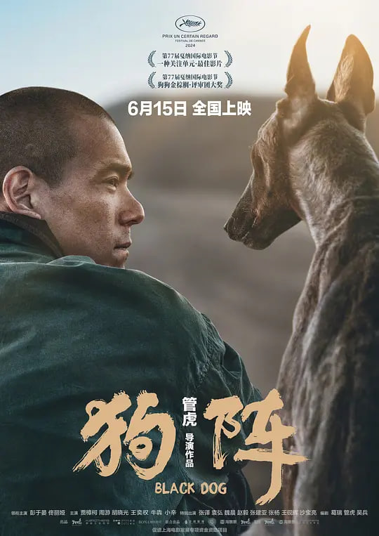 狗阵 视频封面