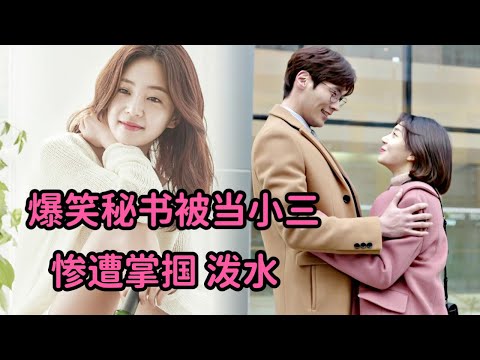 一口气看完！爆笑秘书帮老板掩盖与小三激情，被原配当小三惨遭怒撕！精彩浪漫韩剧《Jugglers/神级秘书》 视频封面