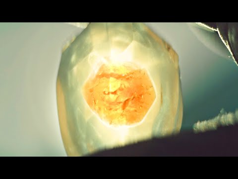 人类来到神秘星球，从生物体内开采宝石，每一颗都价值连城！《致命勘探》 视频封面