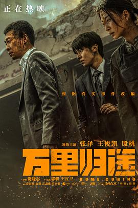 万里归途 视频封面