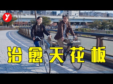2023年治愈天花板，好久没见到这样的日本电影了《完美的日子》 视频封面