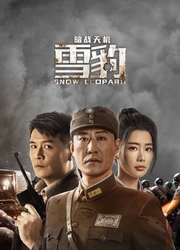 雪豹之暗战天机