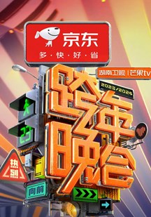 2024最美的夜bilibili跨年晚会 视频封面