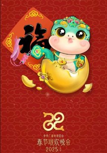 2025春节晚会 视频封面