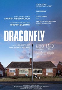 危情蜻蜓