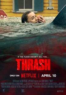 狂鲨风暴 视频封面