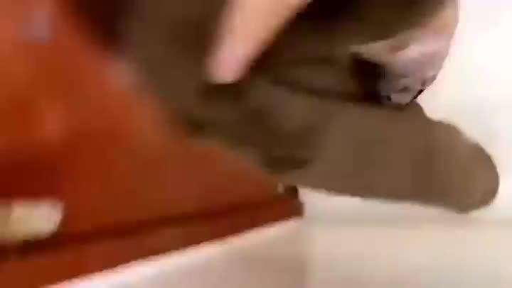 【姐弟乱伦】智斗小老弟玩他姐姐！为了操逼谎话连篇，最后竟被他得逞。 预览截图 2