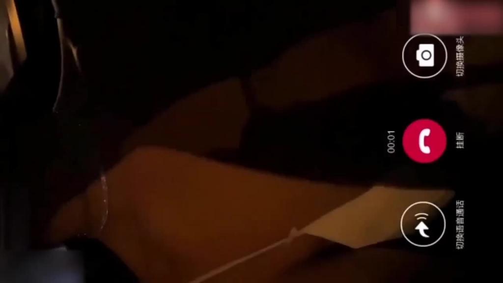岳母集锦合集 预览截图 2