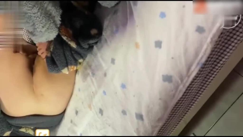 父母不在家,给弟弟足交无套内射,互相桶菊花,浙江金华99年巨乳姐弟乱伦,清晨给弟弟口 预览截图 8