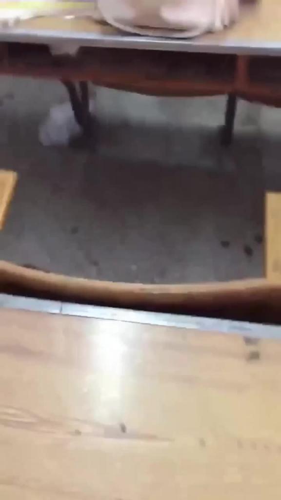 【极度稀缺资源】偷拍街射澡堂-图书馆-课堂-公交车各种场景美女大合集 预览截图 11
