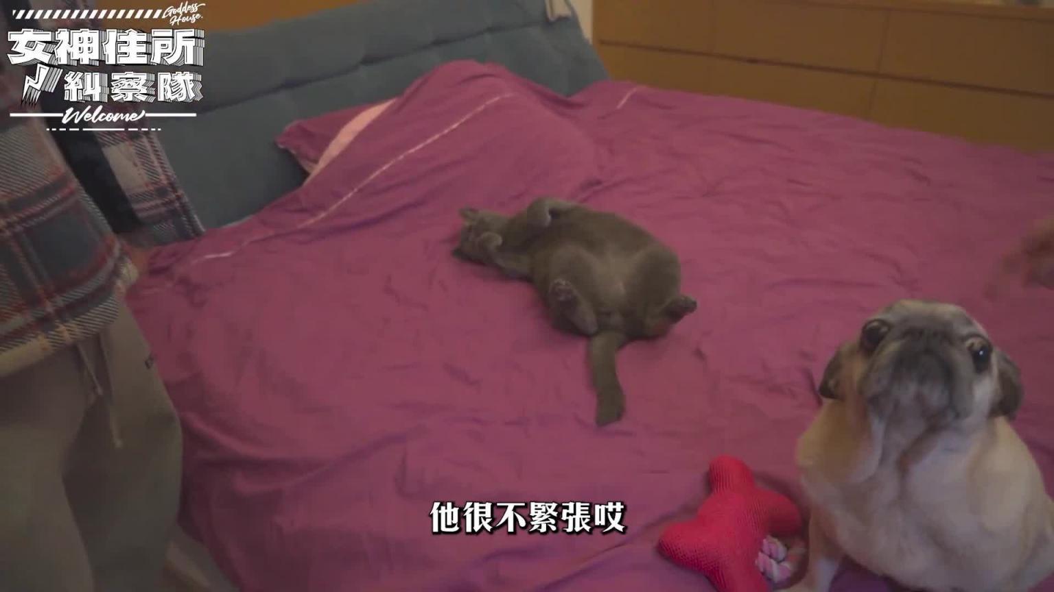 性感热舞女神,LUXY GIRL泡泡闺房露出《女神住所纠察队》 预览截图 4