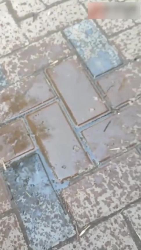 【反差母狗】公园虐操喷水母狗,大哥出门置办年货惨遭绿帽袭击! 预览截图 7