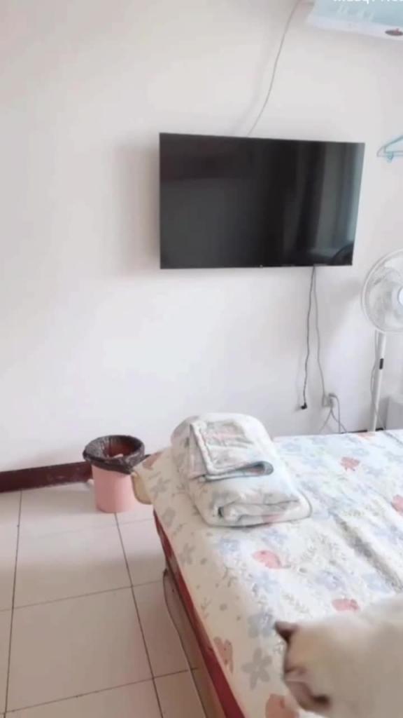 【保定学妹-眼镜音乐才女】吉他弹奏美乳露出,自慰高潮喷水 预览截图 11