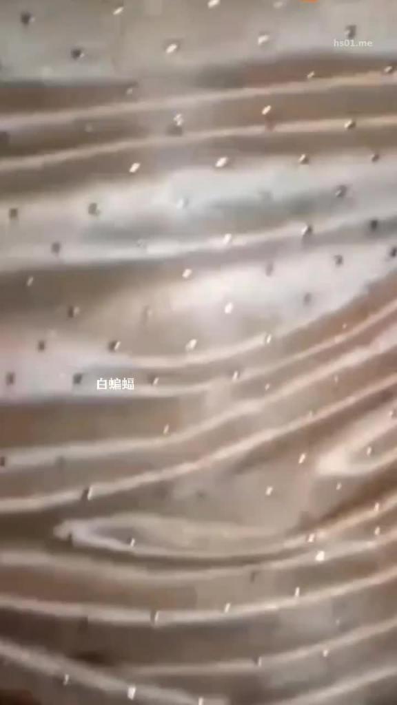 海底捞厕所性爱门-黑丝老板娘和员工在厕所打炮,绝对真实刺激 预览截图 7