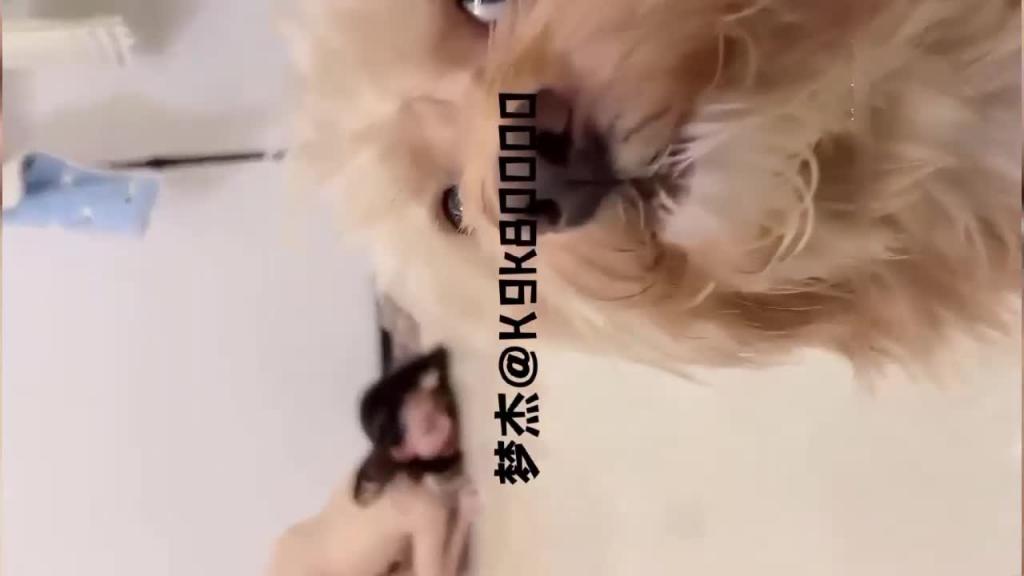【快手网红】东莞主播[梦洁的母狗]性爱视频流出3/3 预览截图 12
