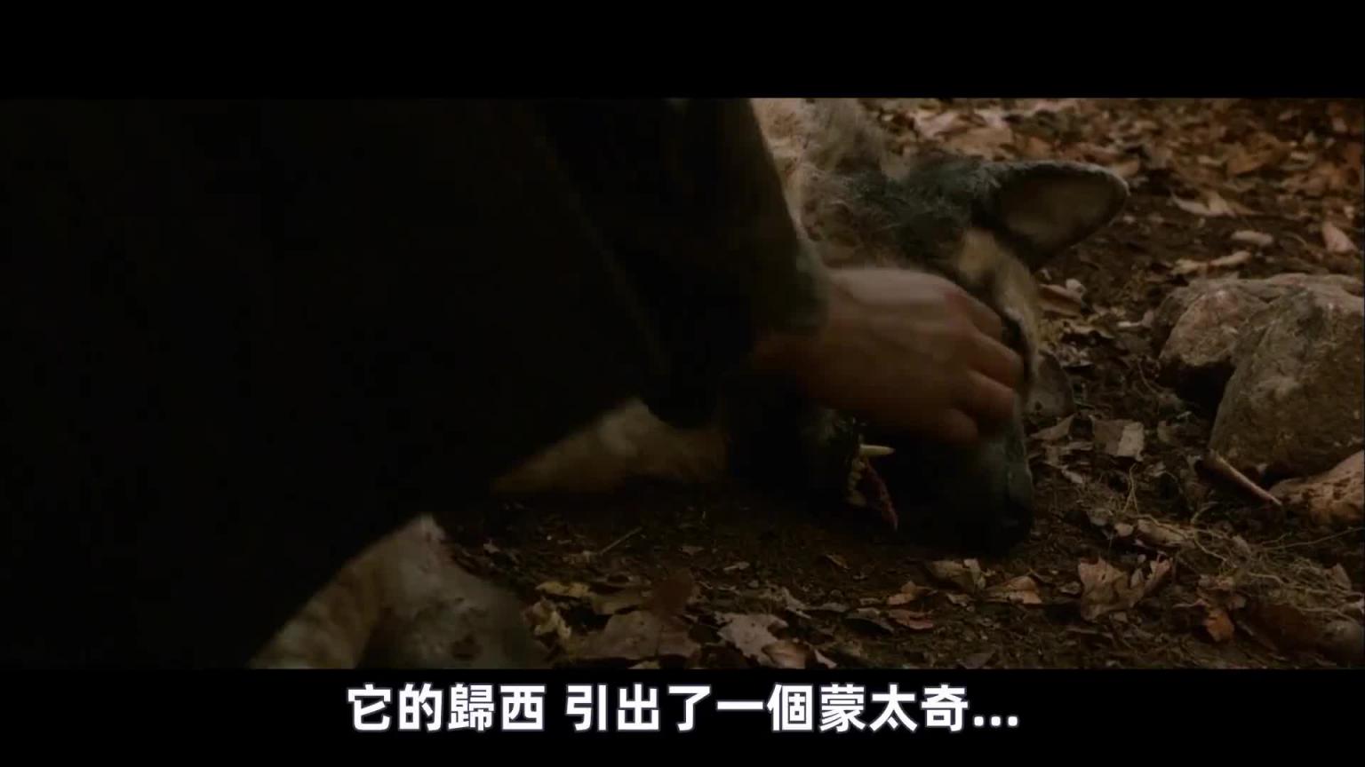 女孩洗完澡后,发现背上长了怪东西,很快全身都长满了 预览截图 4