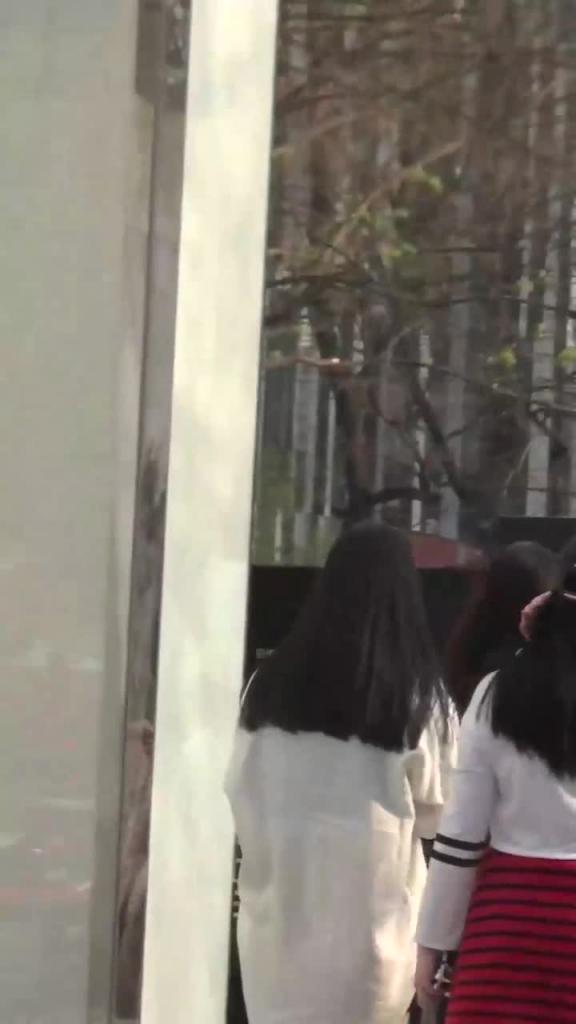 【正街大神极限抄底06】超多气质小姐姐裙内,混血短发妹 预览截图 6