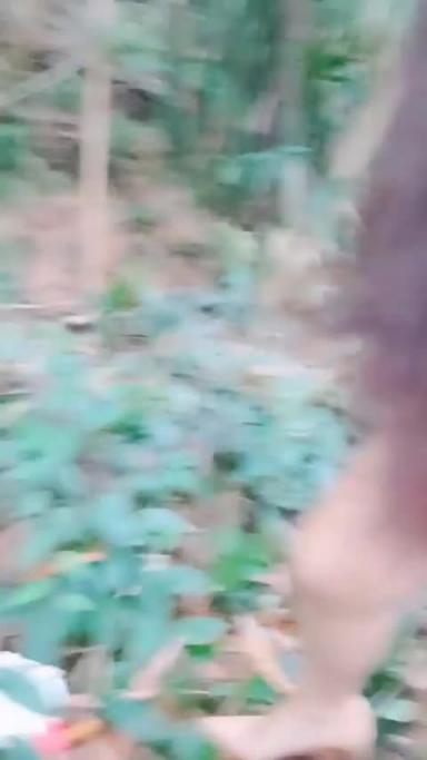 【国产真实户外勾引】长腿御姐勾引年轻小伙小树林直接开干,淫荡对白:你是小处男吗?哈哈哈 预览截图 11