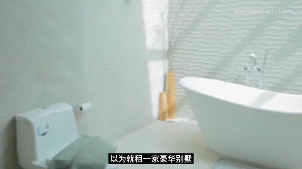 (国语)泰国别墅趴,游艇趴,泰浴趴,K房趴的可行性分析 预览截图 4