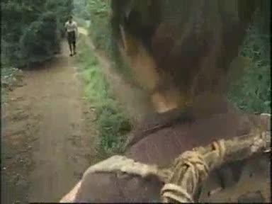 强奸农村妹,最后农村妹爱上强奸犯 预览截图 11