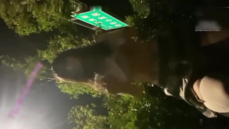 超粉嫩00后户外露出,极致反差被男友调教 预览截图 10
