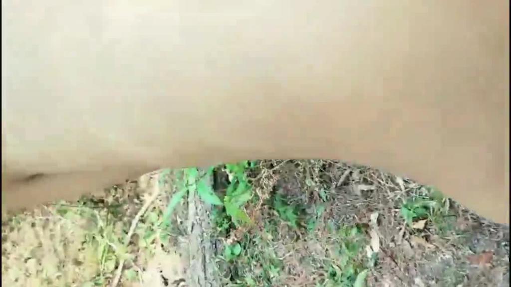 清秀小嫩妹上山打野战找刺激 预览截图 4