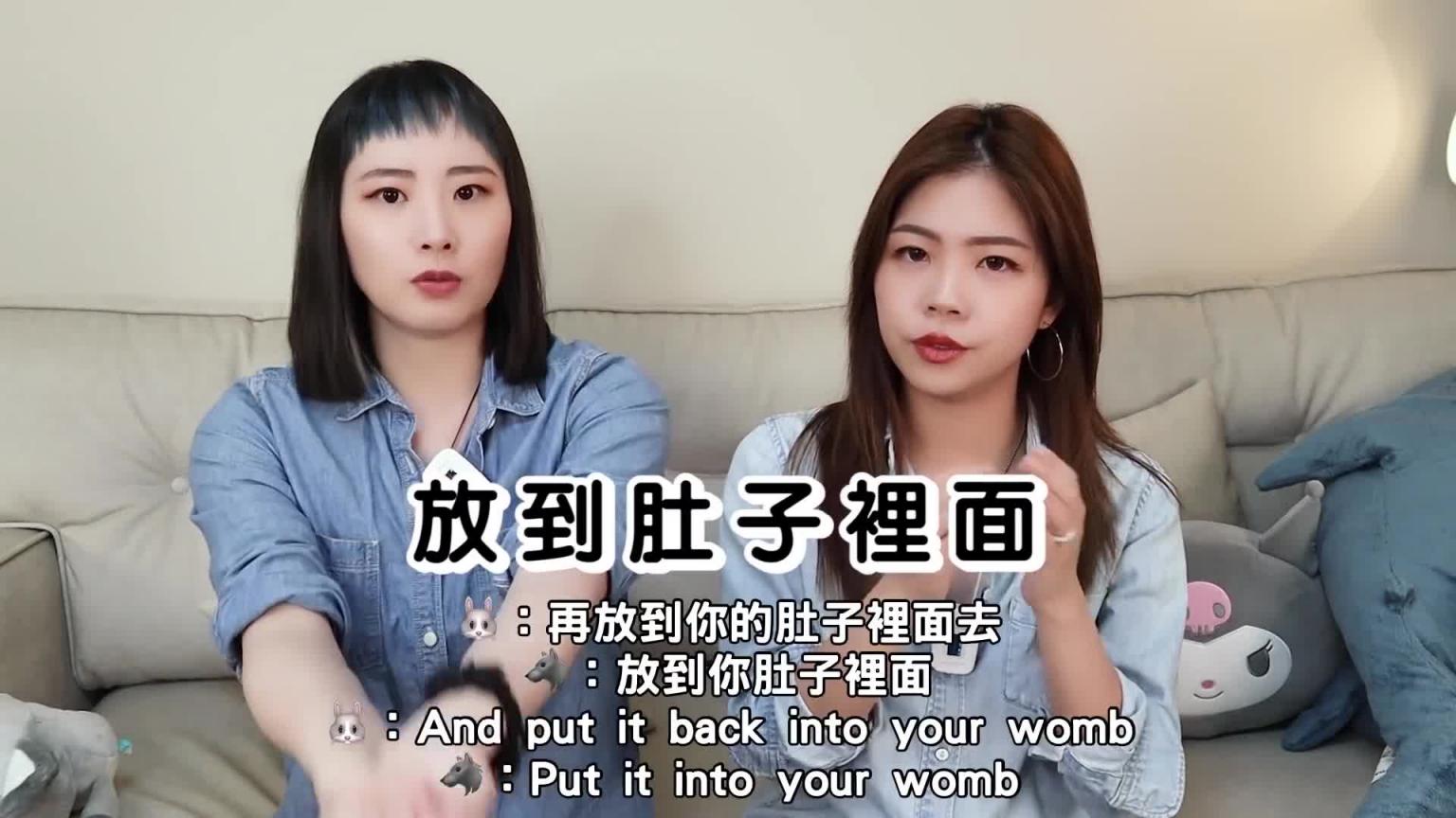 【小兔狼来了EP.1】同志家庭怎么生小孩｜试管婴儿IVF｜怀孕计划劝世视频｜兔女狼 预览截图 10