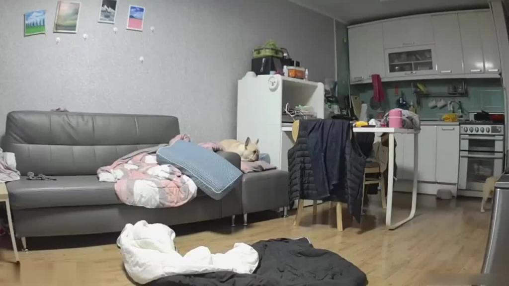 偷拍:中年大叔趁老婆不在 预览截图 3