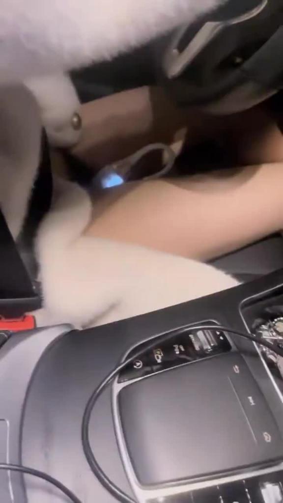 巨乳人妻深夜偷情跟炮友车震 预览截图 11