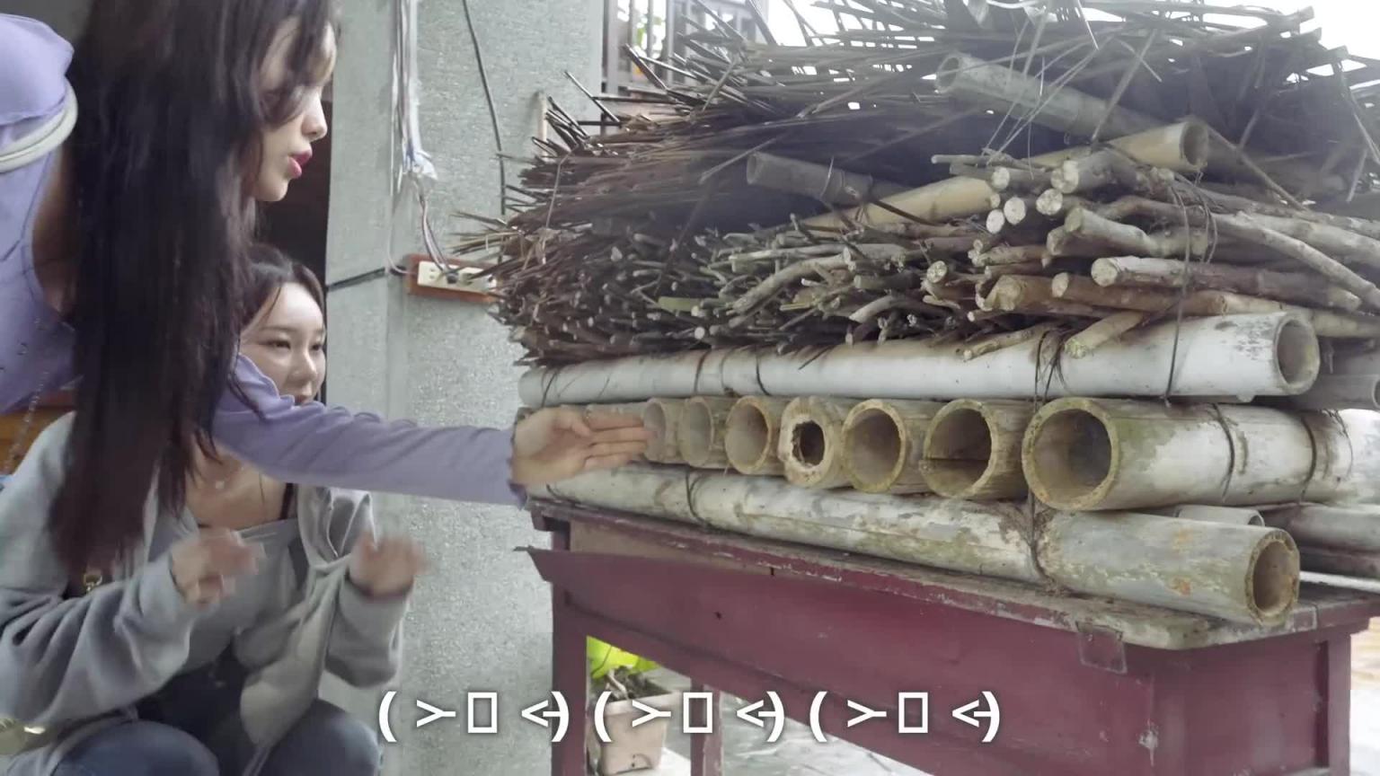 我带她来东部花莲...我让韩国啦啦队了解到台湾是什么 预览截图 8