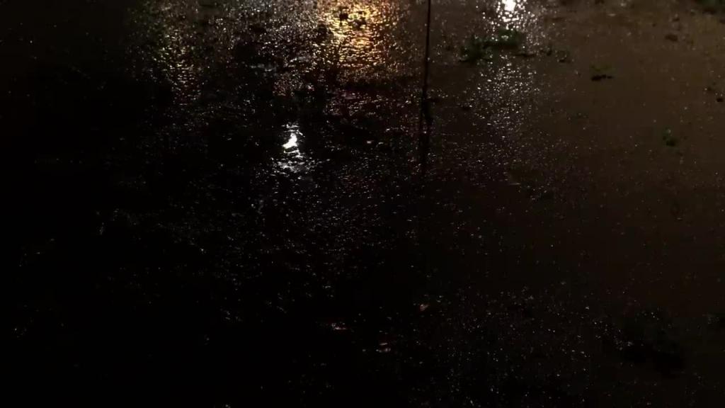 在森林冰冷的山谷中暴雨雷雨/单人野营/雨中露营 / 雨声ASMR 预览截图 8