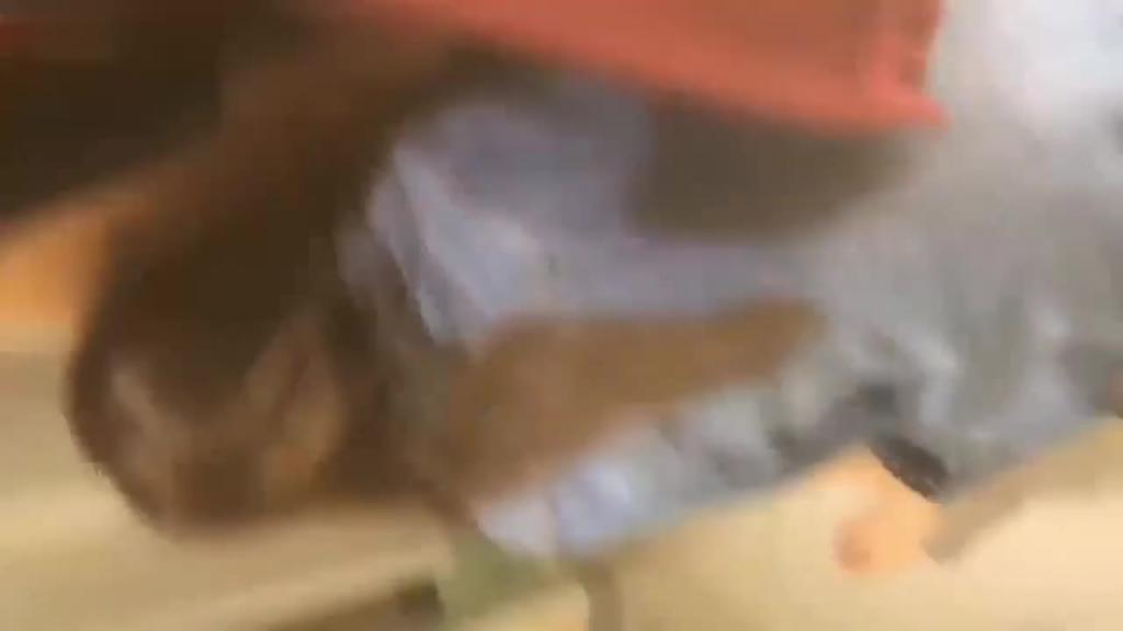 武汉大学大二李沁彤,多个场合淫乱,交往了四个男友 预览截图 7