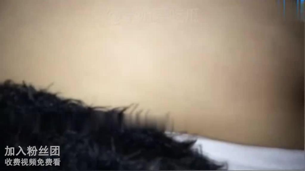 车震门!极品肥婆妈妈声音超酥!虽然胖!逼却很小 预览截图 12