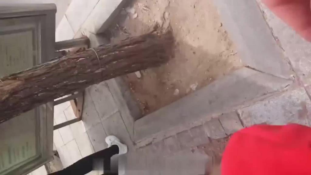 炮叔街射重新出山，出手就是三连 预览截图 3