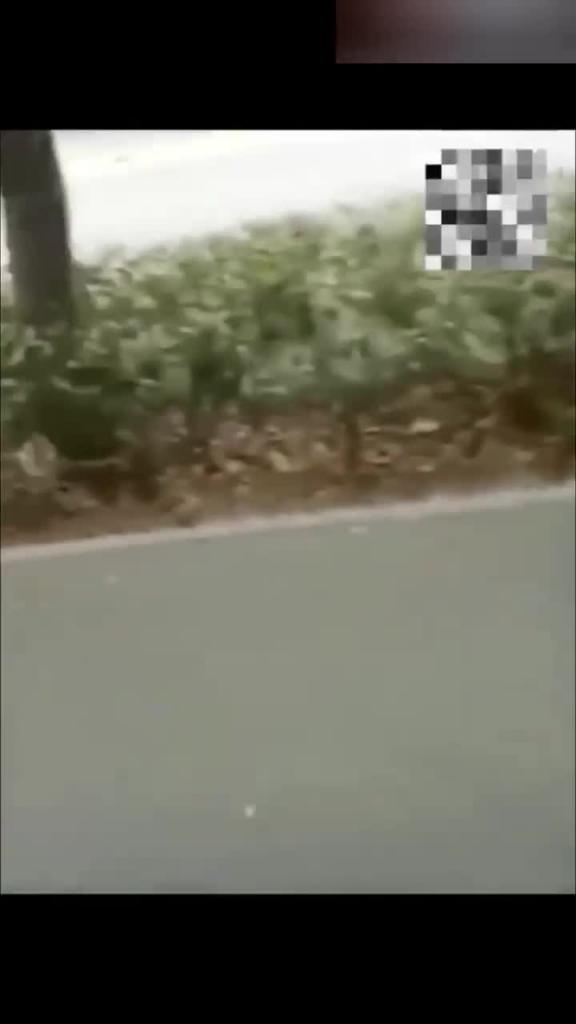 【社死名场面】肛门纹身偶遇室友正做爱公交车上射精在前坐女子头上等等 预览截图 3