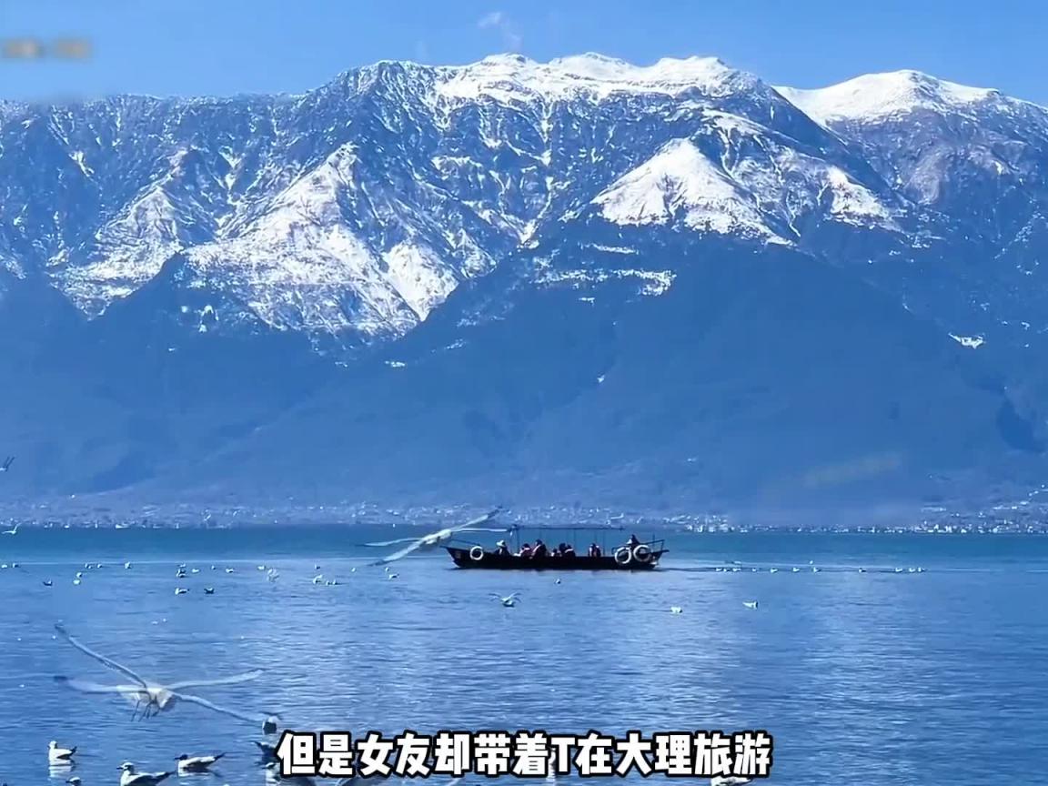 胖猫事件懒人包!!!当胖猫遇到捞女,一个年轻人如何走上不归路?唯一遗愿吃麦当劳!!! 预览截图 7