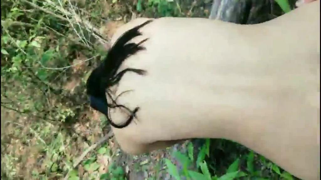 清秀小嫩妹上山打野战找刺激 预览截图 6