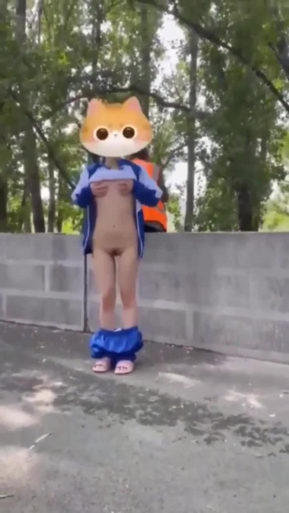 户外露出 预览截图 6