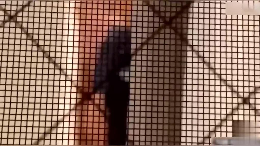 【地铁真实跟踪猥亵短发女孩】色魔地铁站当着人男友抄底摸逼第一次遭遇不知怎么办被扣穴至高潮 预览截图 12