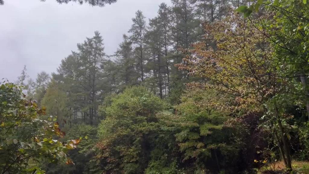 有趣的空间站形状的充气帐篷,在雨中用柴炉露营 预览截图 4