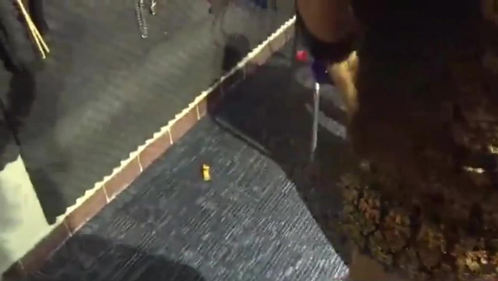 对白精彩广州富姐女主刑房玩弄 预览截图 9