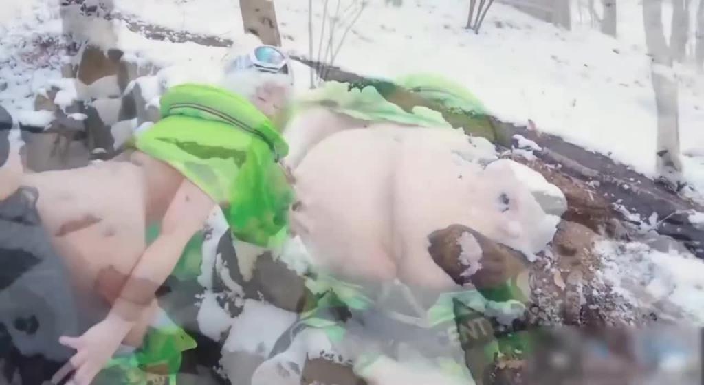 穿着滑雪服雪地做爱 预览截图 10