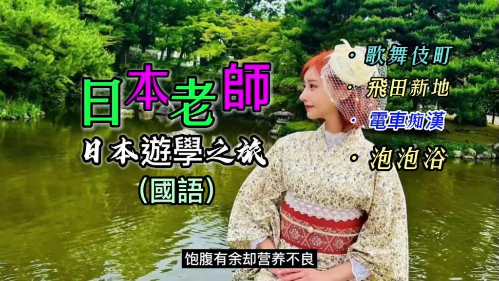 (国语)全网最全,日本攻略 预览截图 9
