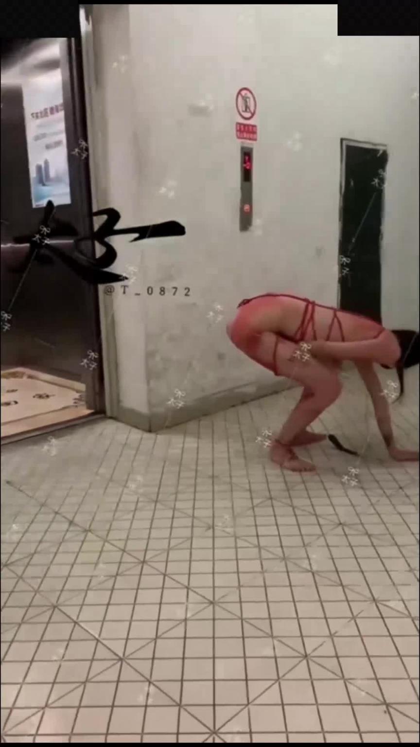 【社死调教】母狗训练调教各种社死瞬间,调教反差模特骚女,狗链爬行露出啪啪能玩的都玩了 预览截图 4